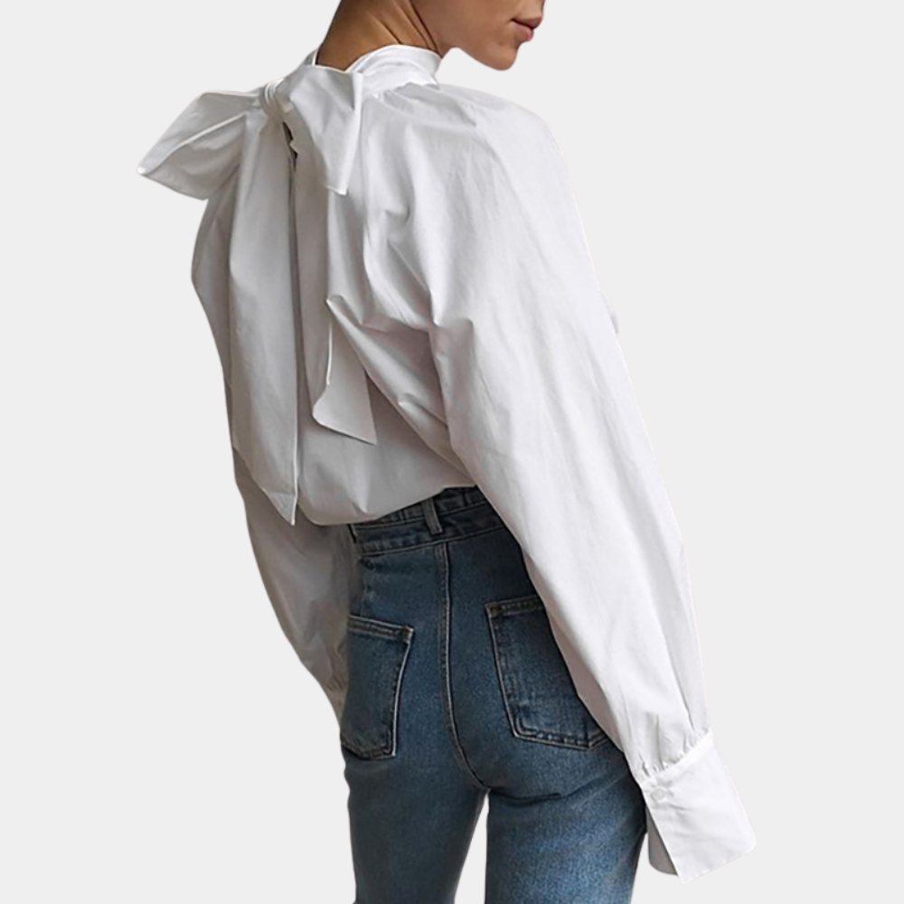 Stylish ladies blouse with high collar