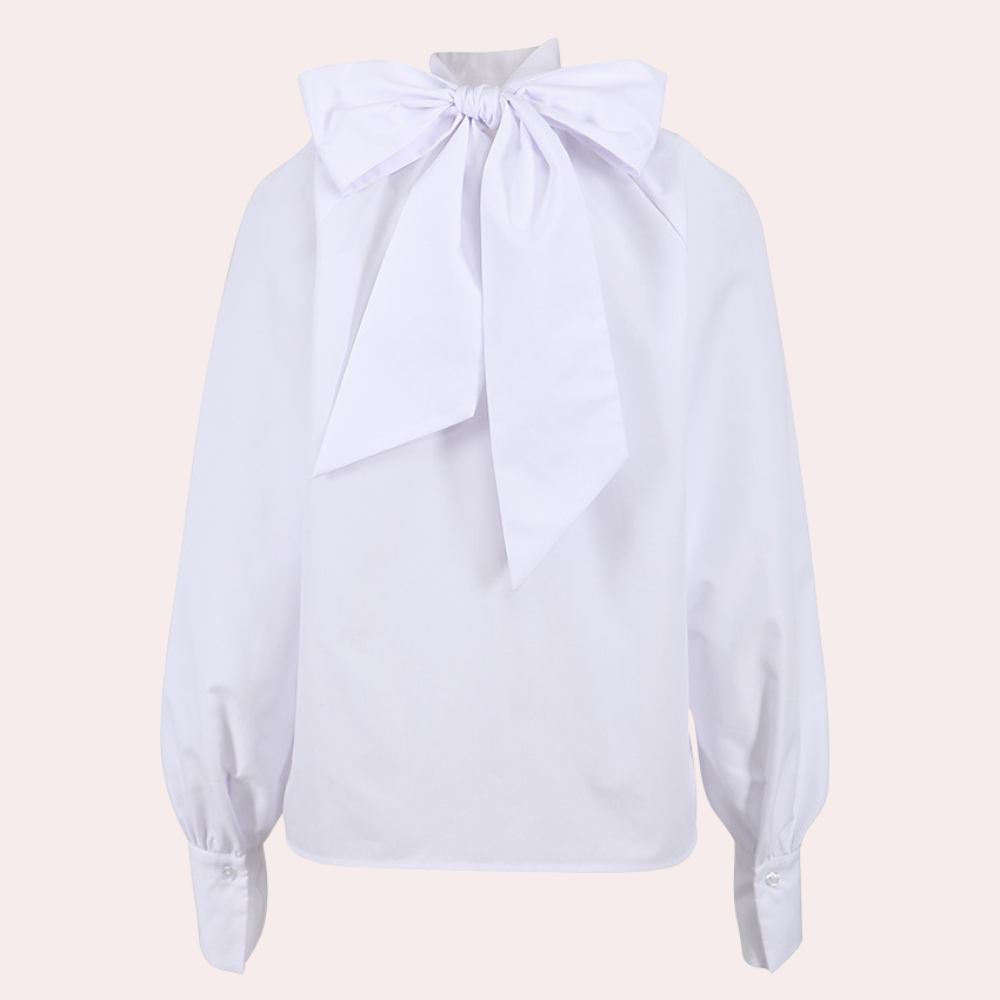 Stylish ladies blouse with high collar