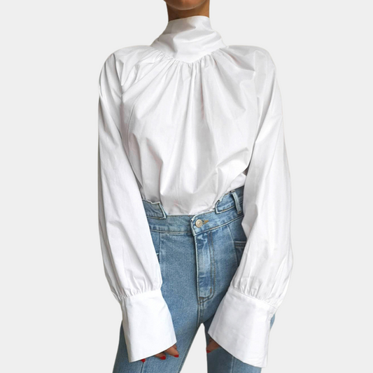 Stylish ladies blouse with high collar